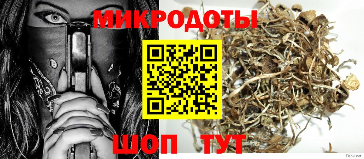 Набережные Челны  Псилоцибиновые грибы Cubensis  Вход с VPN  Галлюциногенные грибы прущие грибы 